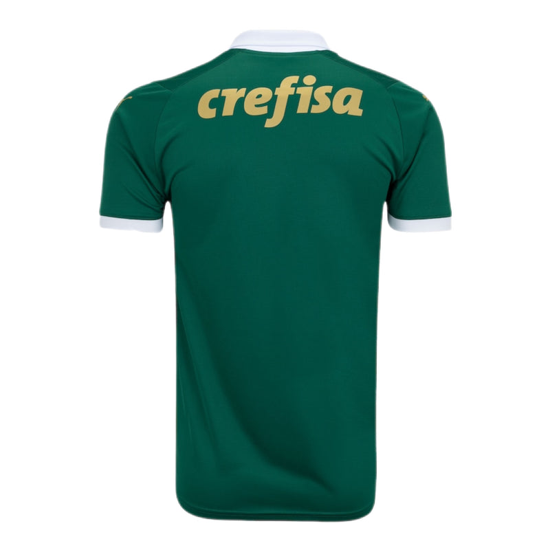 Palmeiras modelo 24/25 Masculino