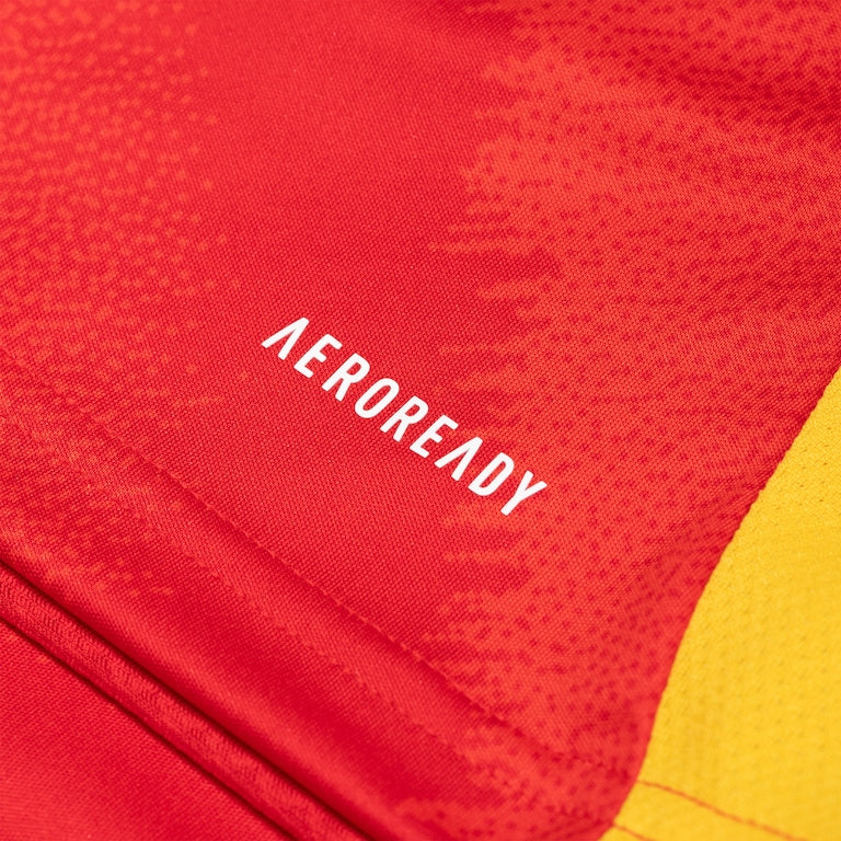 Camisa da Seleção Espanha I 24/25 Masculina Torcedor